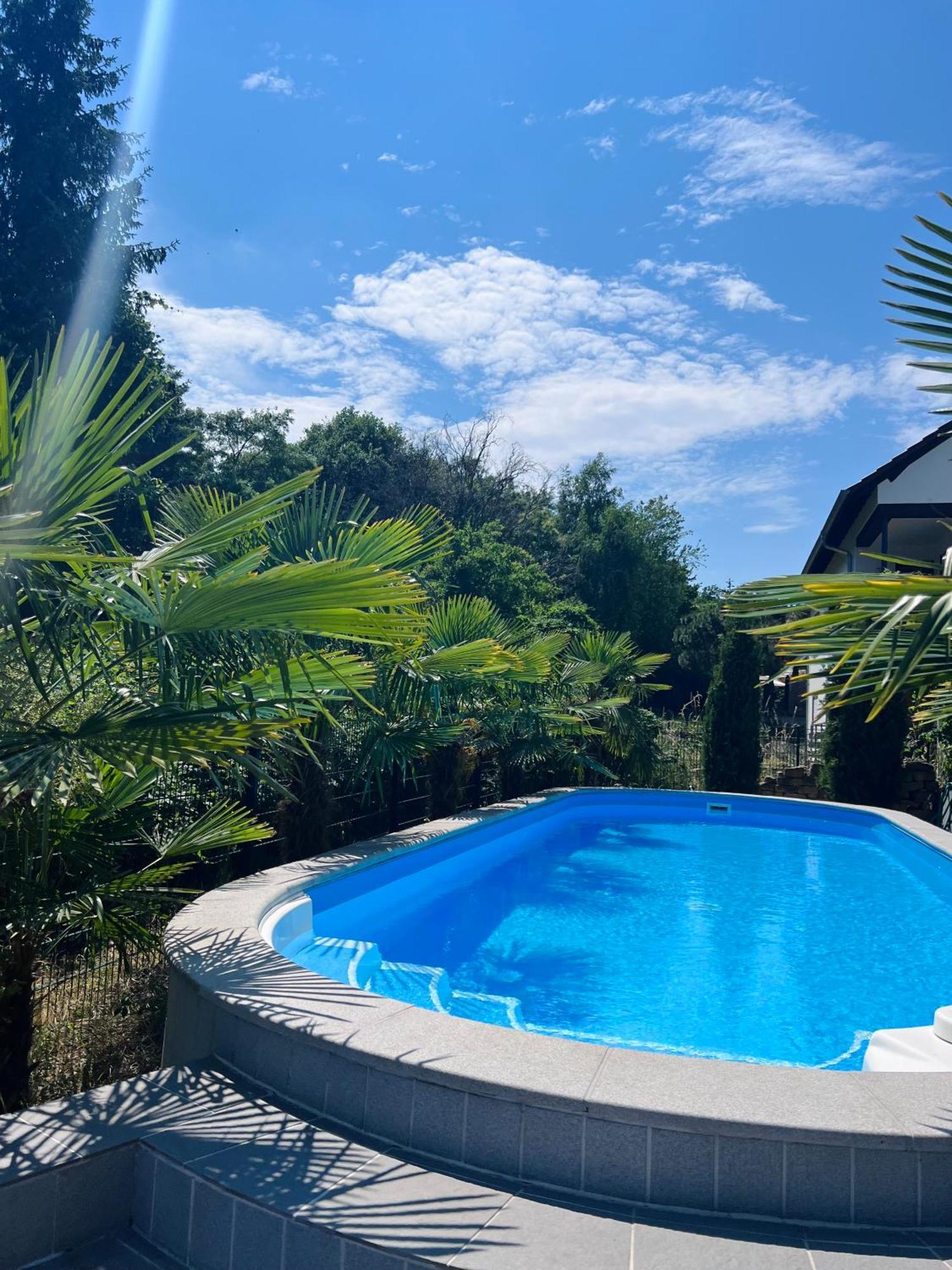 Privates Ferienhaus Mit Pool & Whirlpool Zentral In Bad Duerkheim Ngoại thất bức ảnh