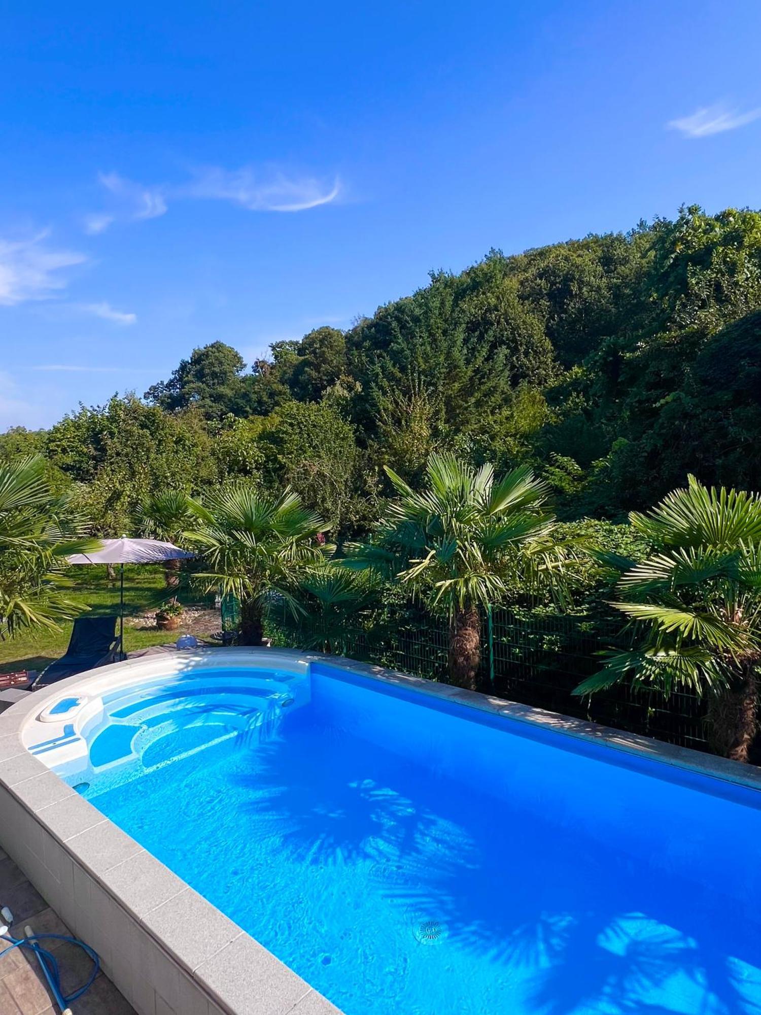 Privates Ferienhaus Mit Pool & Whirlpool Zentral In Bad Duerkheim Ngoại thất bức ảnh